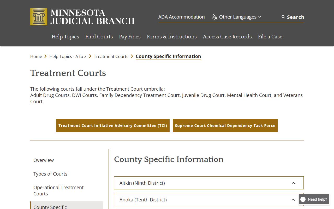 Brown County criminal court records Minnesota treatment court county information